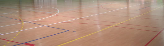 Pavell&oacute; parquet