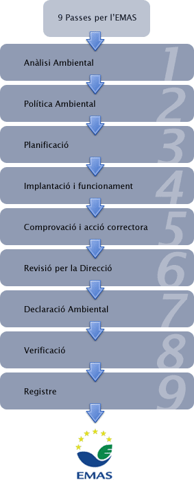 Passes per a la implantaci&oacute; d'EMAS a les organitzacions.