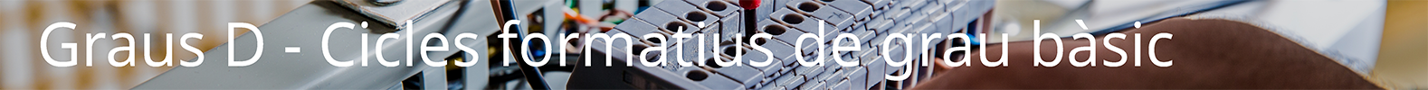 Graus D - Cicles formatius de grau bàsic