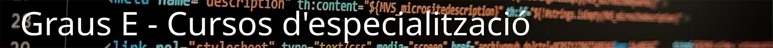 Graus E - Cursos d'especialització