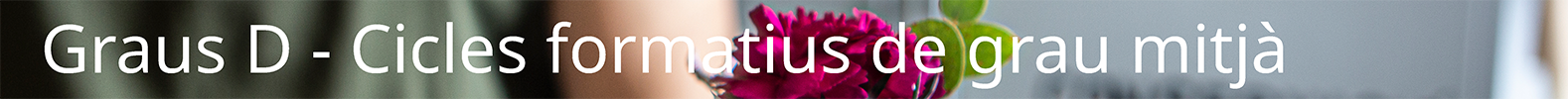 Graus D - Cicles formatius de grau mitjà