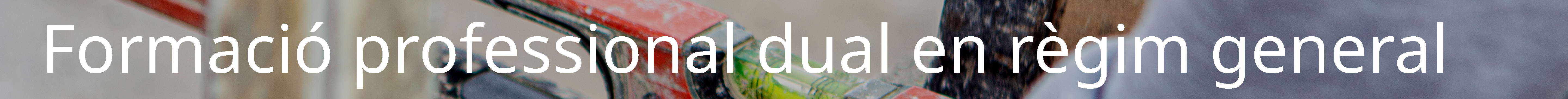 Formació professional dual en règim general