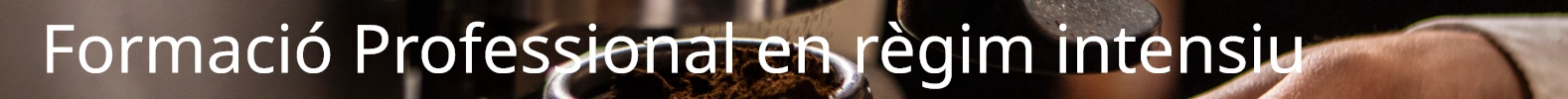 Formaci&oacute; Professional en r&egrave;gim intensiu