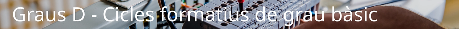 Graus D - Cicles formatius de grau b&agrave;sic