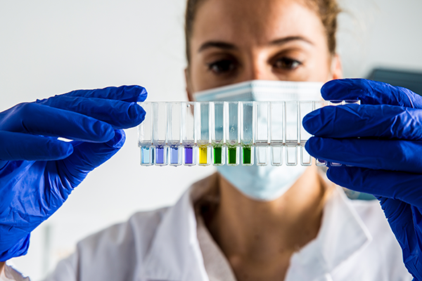 Graus D - Cicles formatius de grau b&agrave;sic