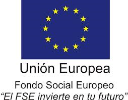 desc_Logo_FSE_castella.png
