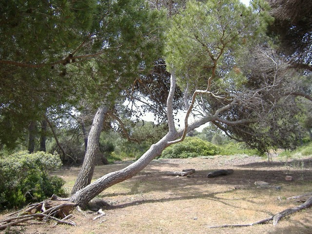 1.Exteriors Son Real.JPG