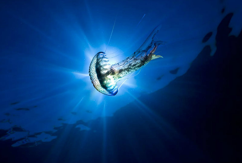 COMPROVACIONS SUBMARINES 1_foto Nando Darder