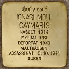 Ignasi Moll Caymaris