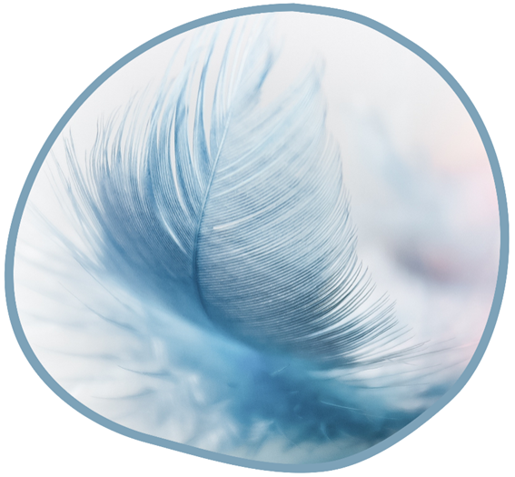 Imatge portada erotisme