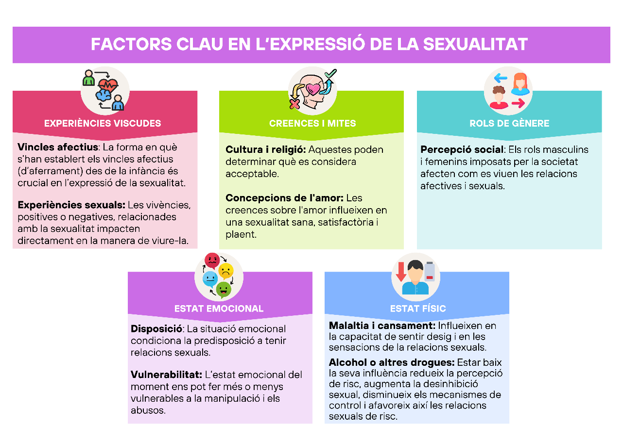 Infografia sobre els factors clau expressi&oacute; sexualitat