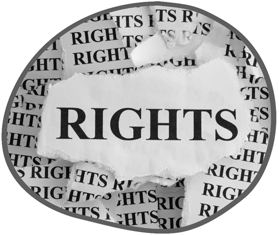 Imagen portada derechos sexuales