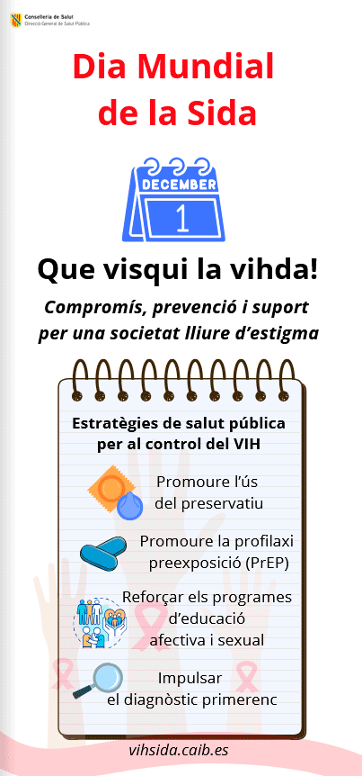 Cartell dinàmic canva cat