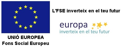 Logo FSE comú 2860972ca
