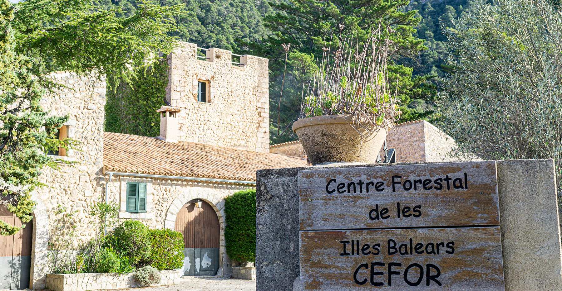 Centre Forestal de Balears (CEFOR)