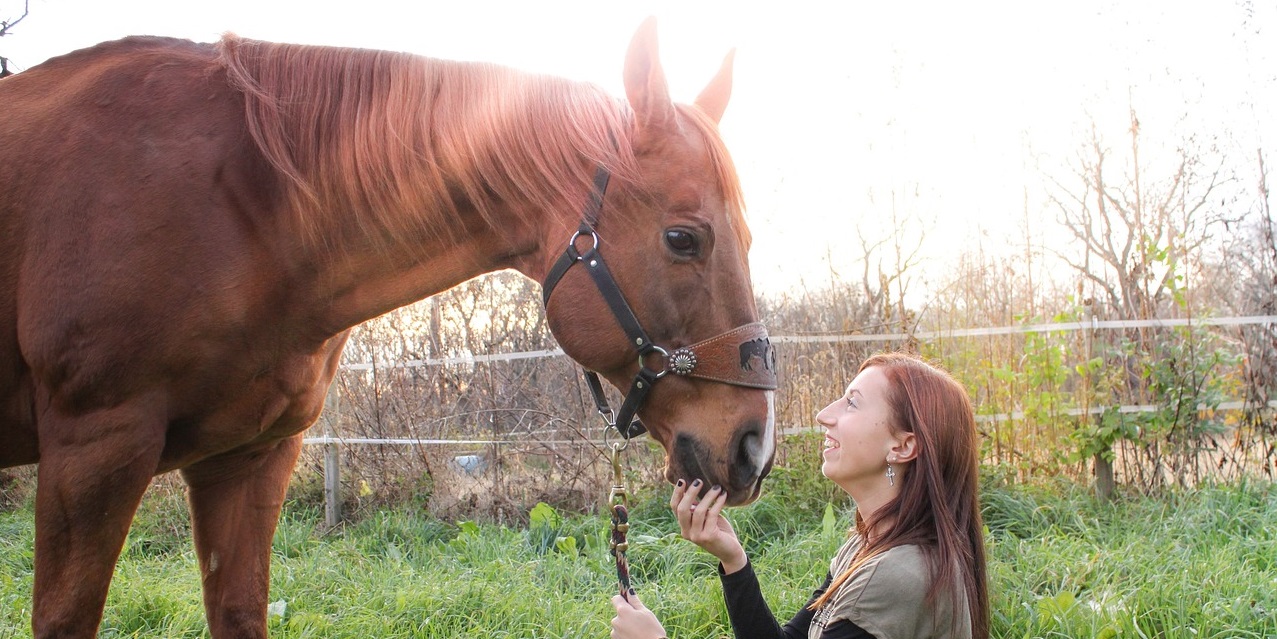 TREBALLAR LES EMOCIONS