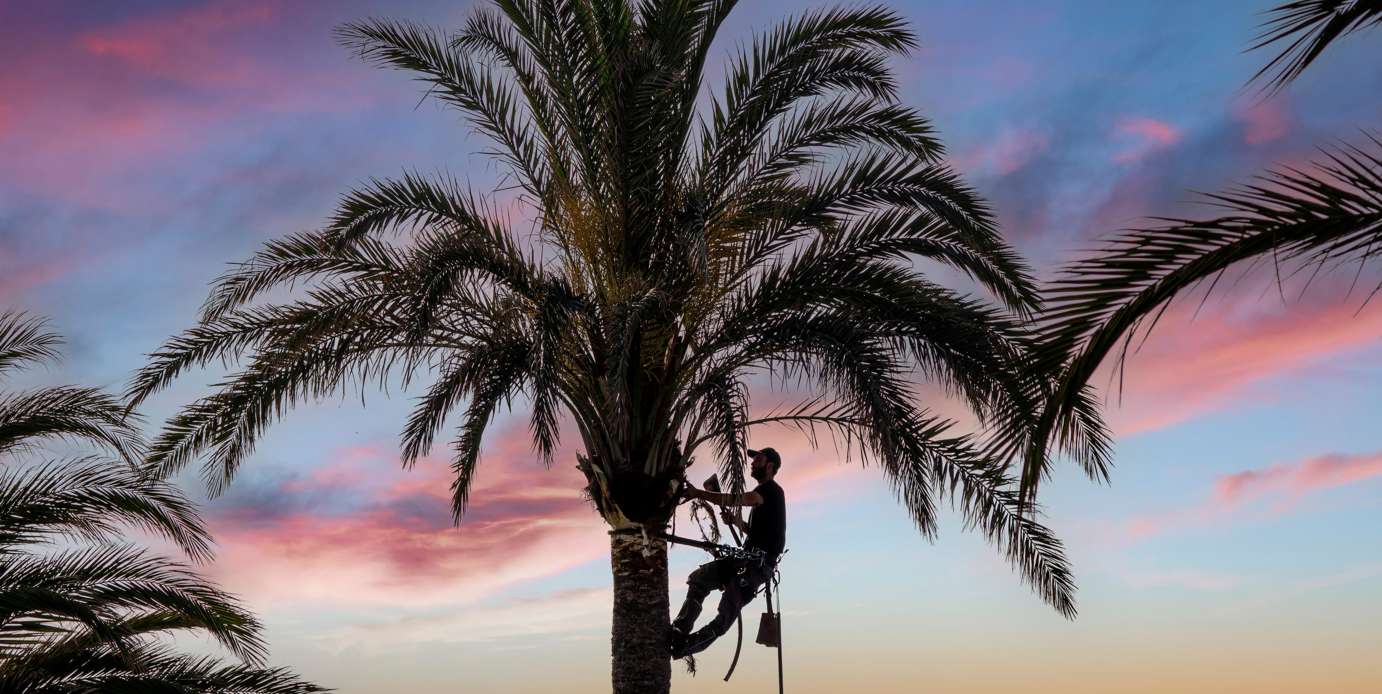 DESPLAÇAMENT I RESCAT EN ALÇADA