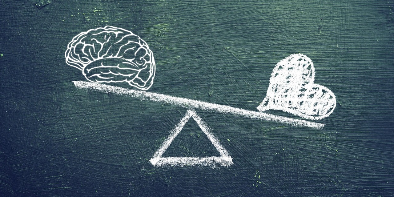 INTEL·LIGÈNCIA EMOCIONAL A L’FP