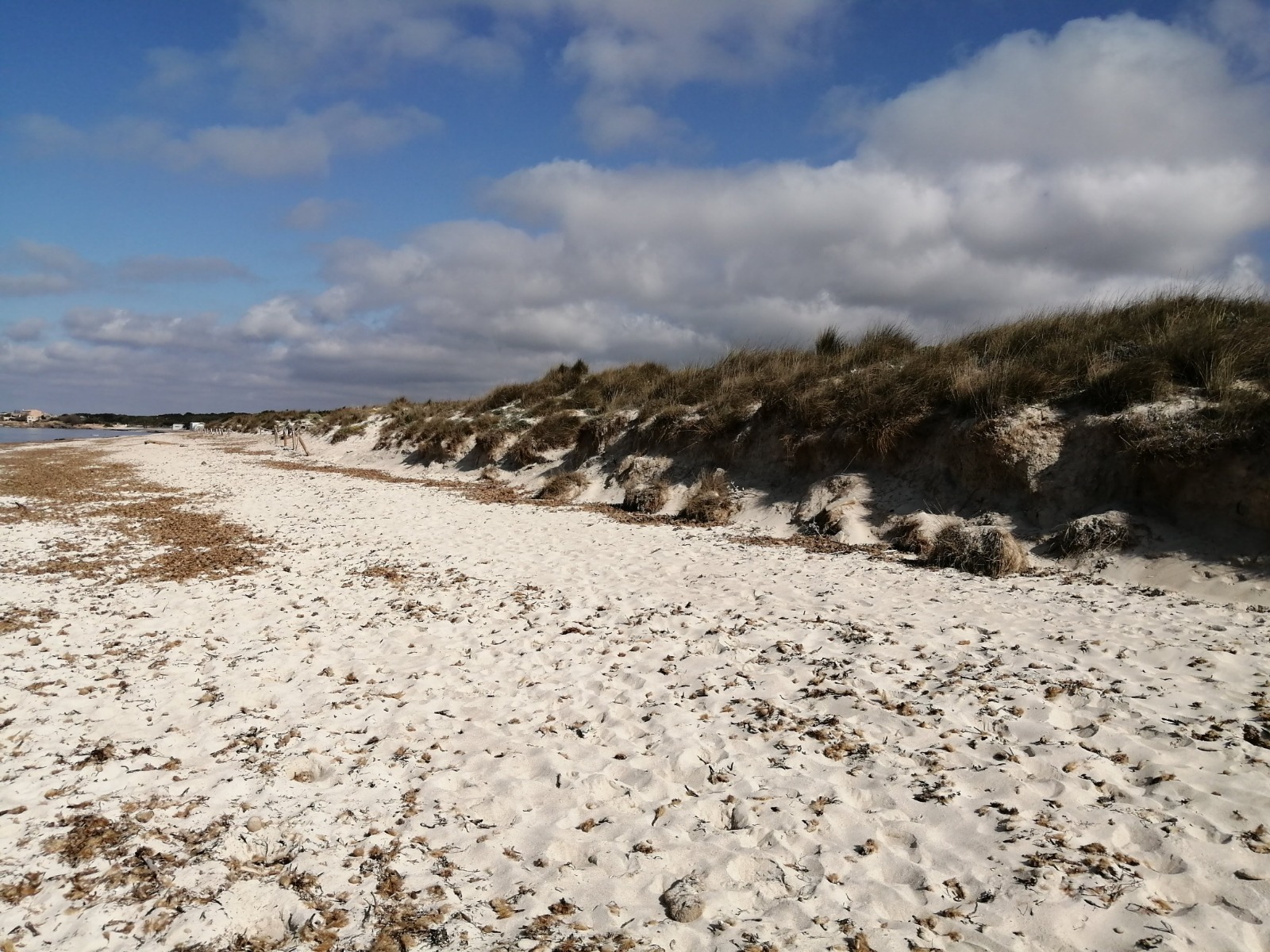 -Parc Natural Maritimoterrestre d’es Trenc-Salobrar 