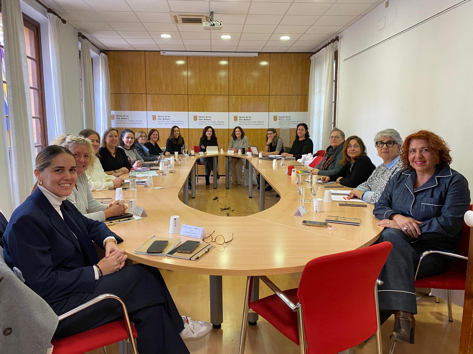 Imatge de la primera sessió del Ple de l’Observatori per a la Igualtat.