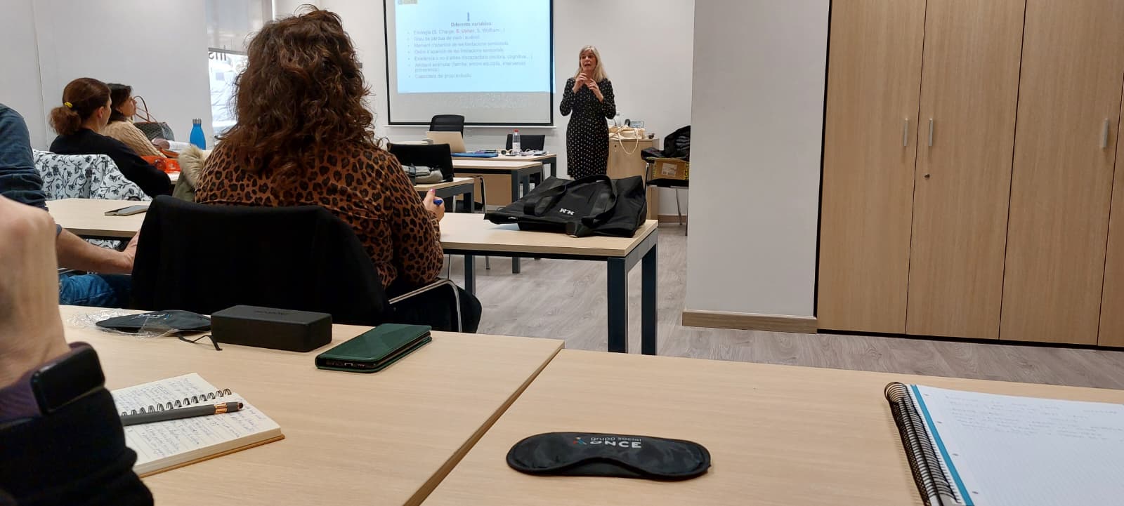 Curs de l’ONCE sobre persones amb sordceguesa