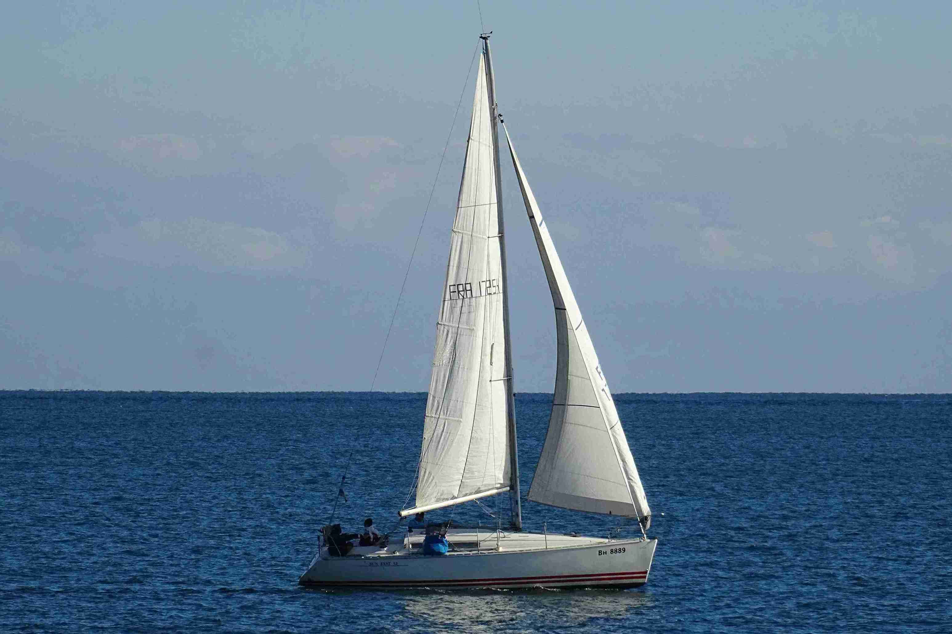 VELA