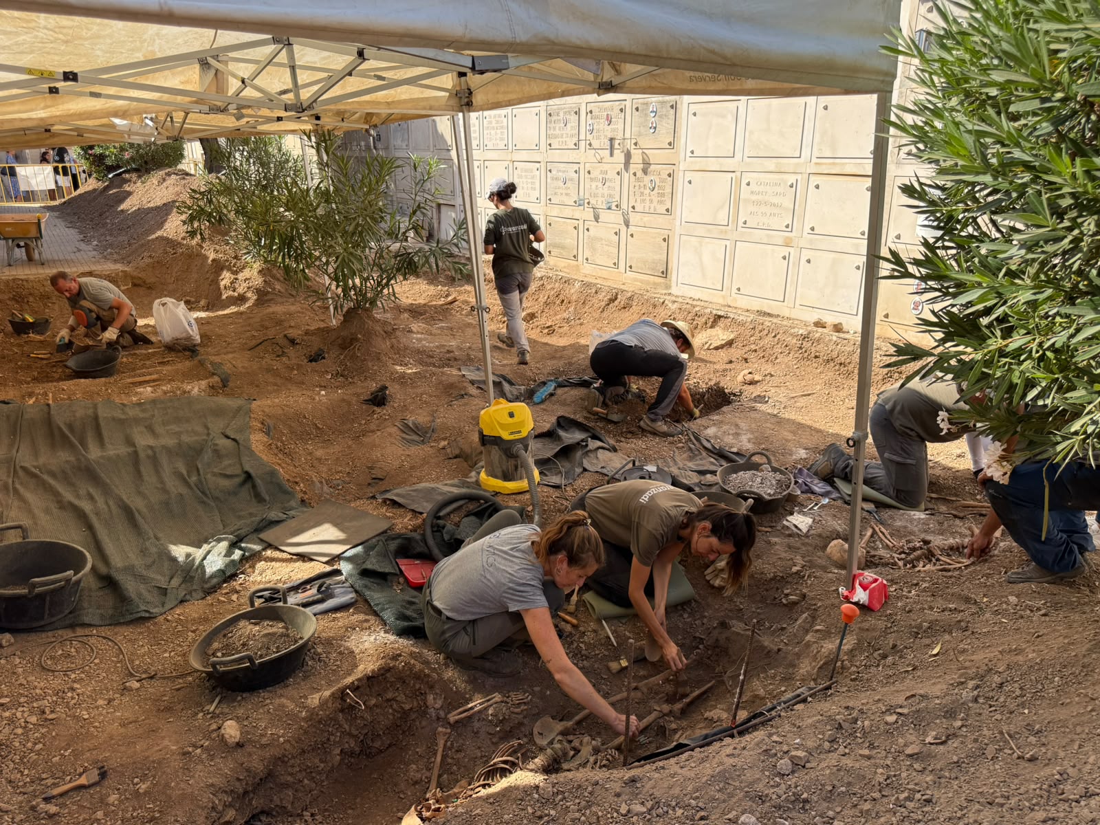 Treballs d’excavació i exhumació al cementeri municipal de Son Servera.