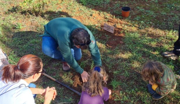 Sembra de plantes amb infants