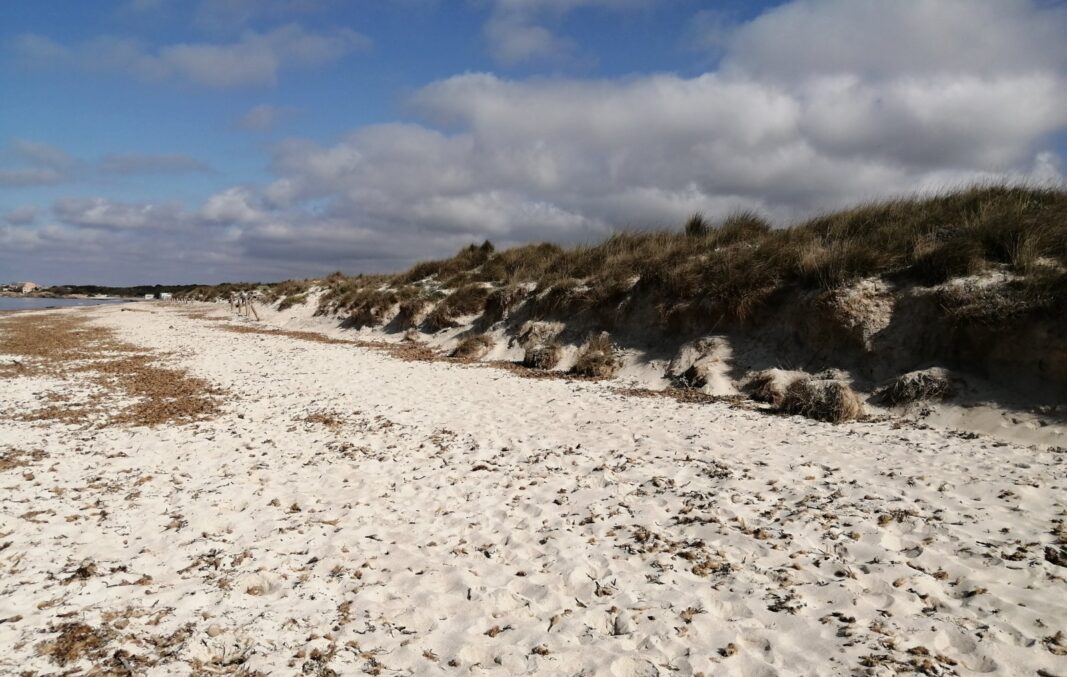 -Parc Natural Maritimoterrestre d’es Trenc-Salobrar 