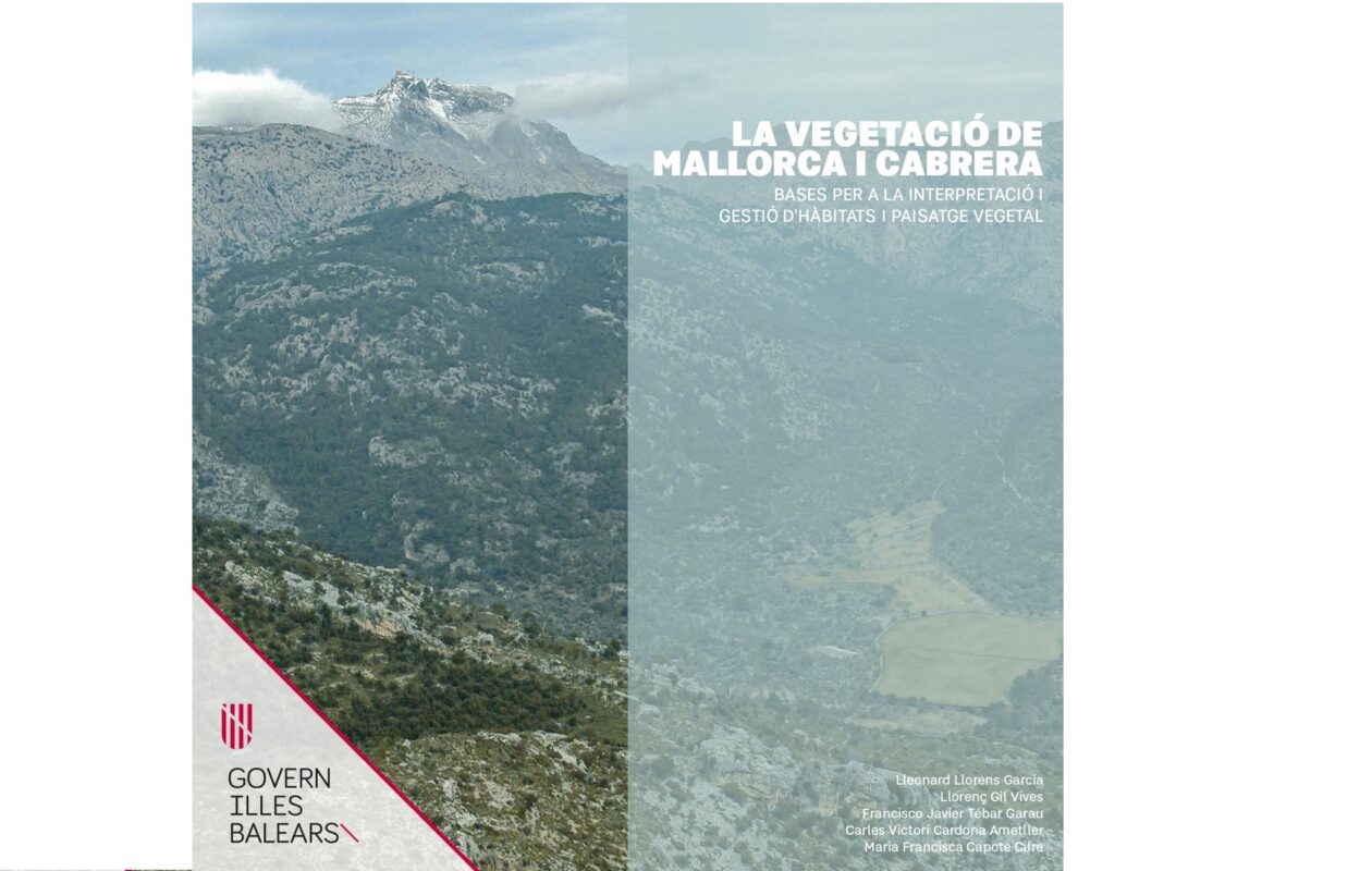 Portada de la publicació